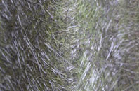 Thorns Green fibreglass roof work